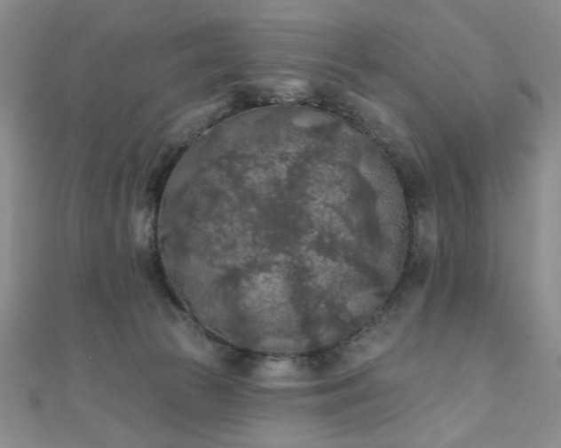 X0000111000177200906191558