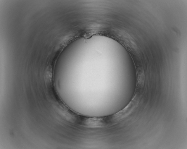 X0000111000179200906191558