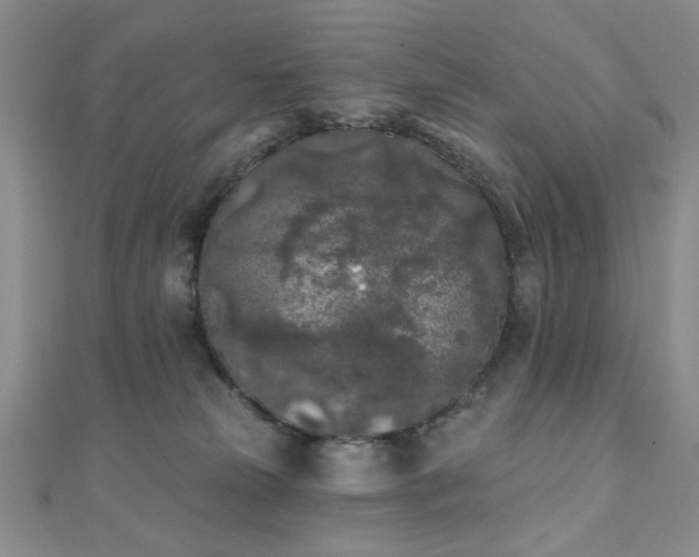 X0000111000181200906191558