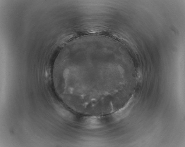 X0000111000182200906191558