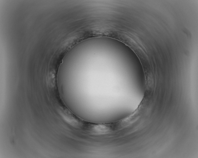 X0000111000183200906191558