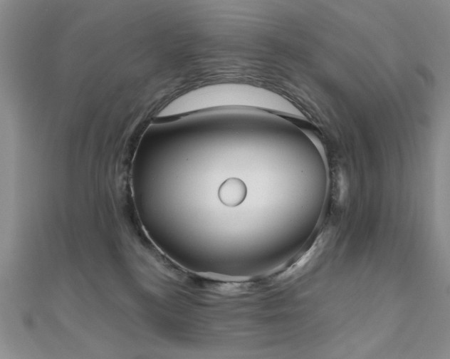 X0000111000184200906191558