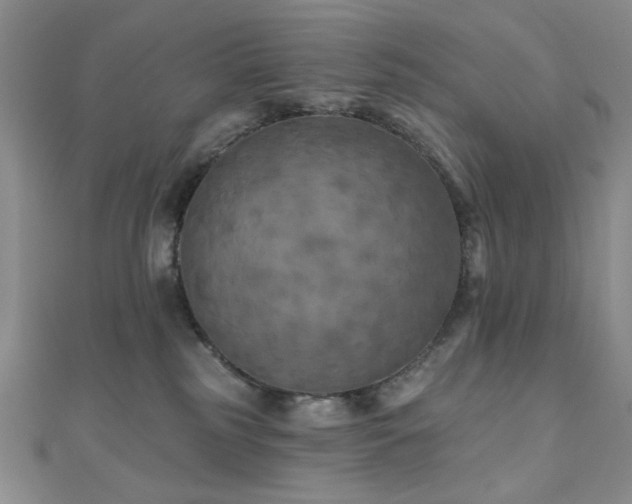 X0000111000185200906191558