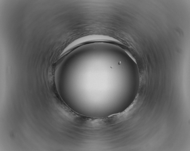 X0000111000186200906191558