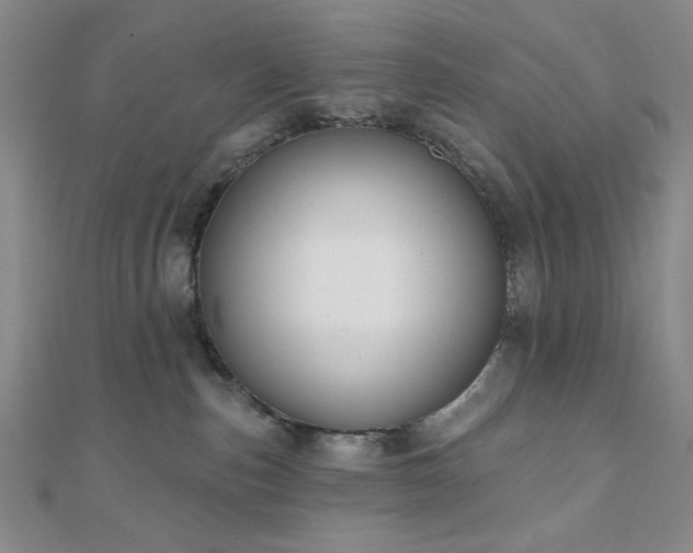 X0000111000187200906191558