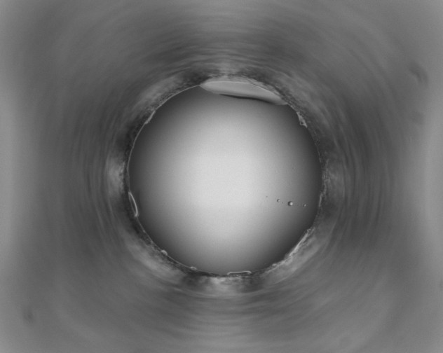 X0000111000188200906191558