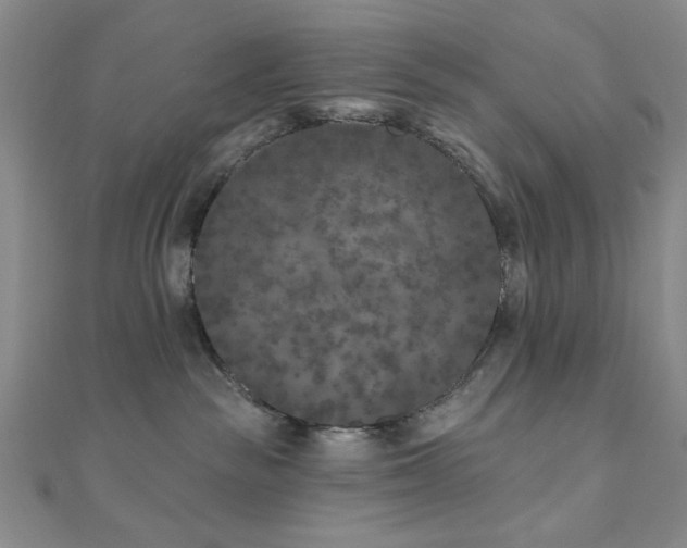 X0000111000189200906191558