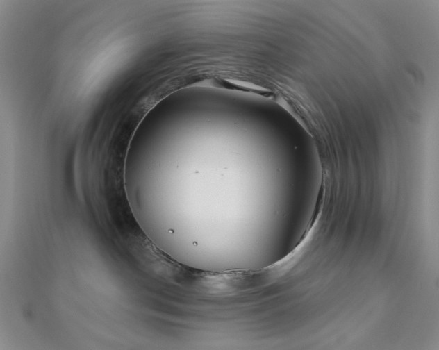 X0000111000190200906191558