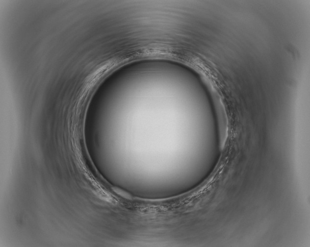 X0000111000193200906191558