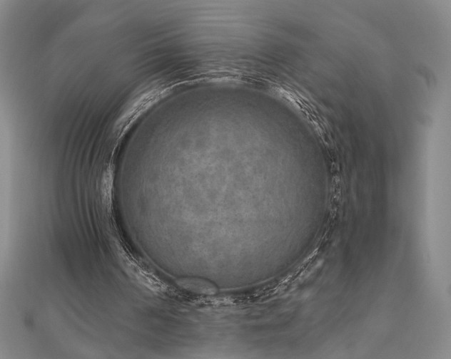 X0000111000194200906191558