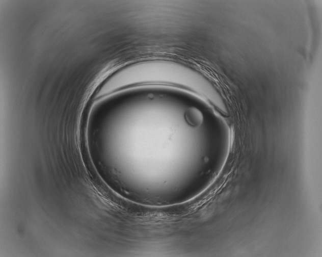 X0000111000195200906191558