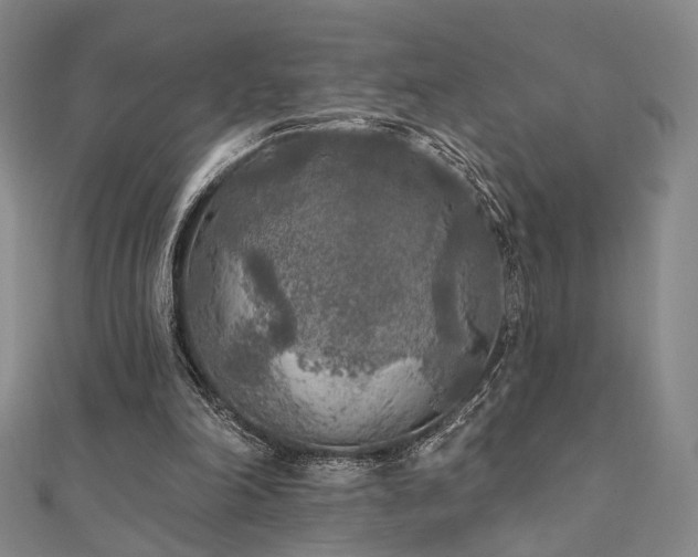 X0000111000198200906191558