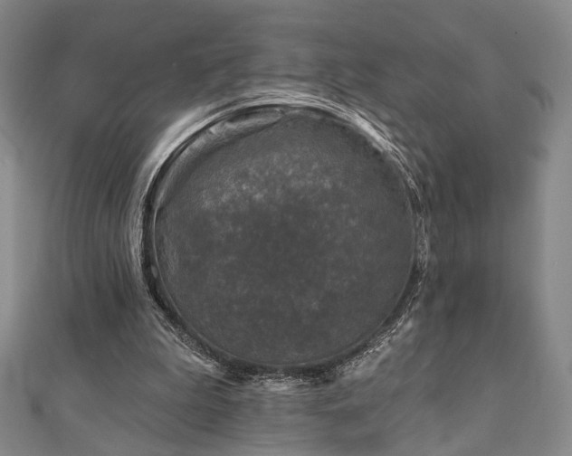 X0000111000199200906191558