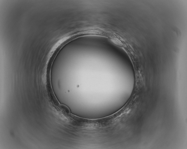 X0000111000200200906191558