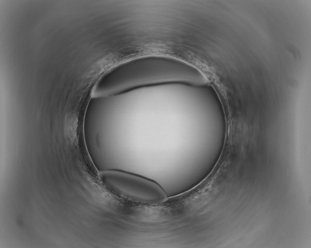 X0000111000201200906191558