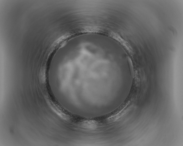 X0000111000203200906191557