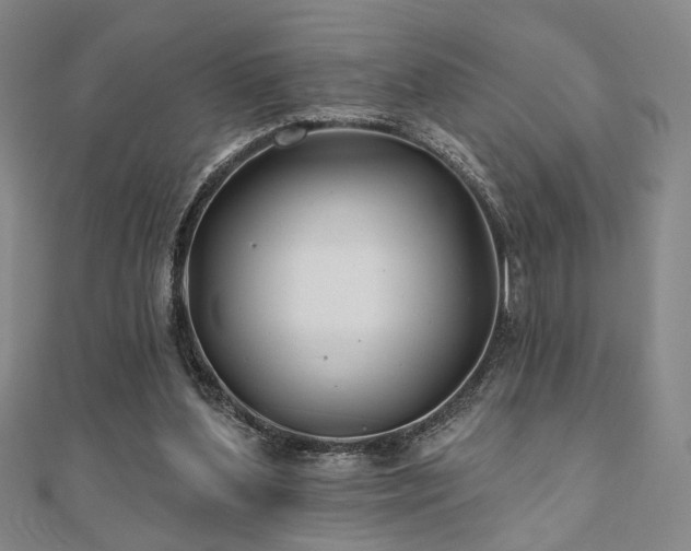 X0000111000204200906191557