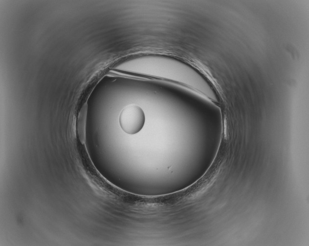 X0000111000205200906191557