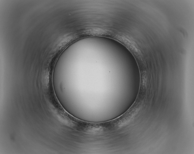 X0000111000206200906191557