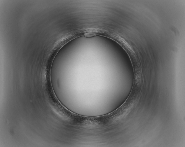 X0000111000207200906191557