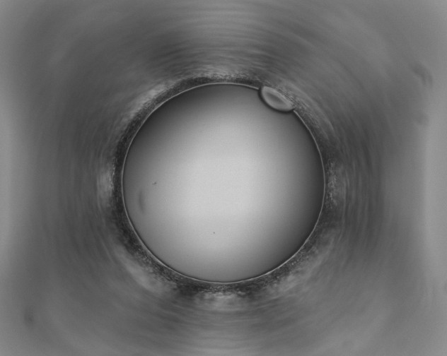 X0000111000208200906191557