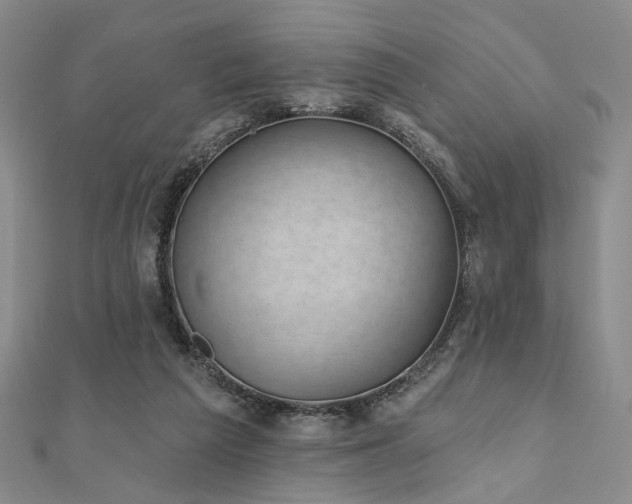 X0000111000209200906191557