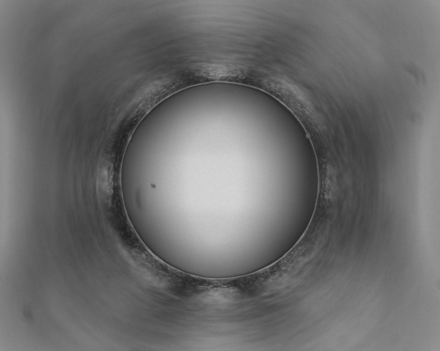 X0000111000210200906191557