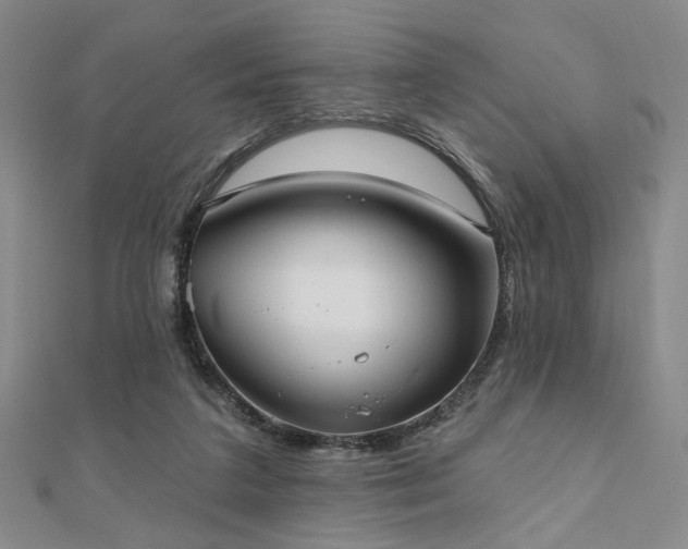 X0000111000211200906191557