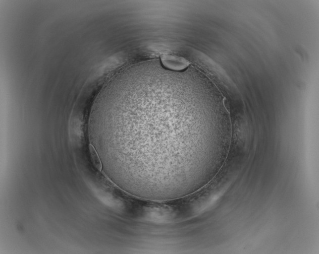 X0000111000215200906191557