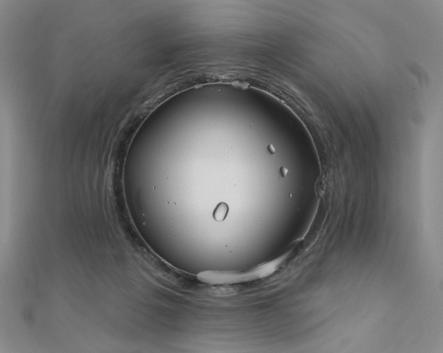 X0000111000217200906191557