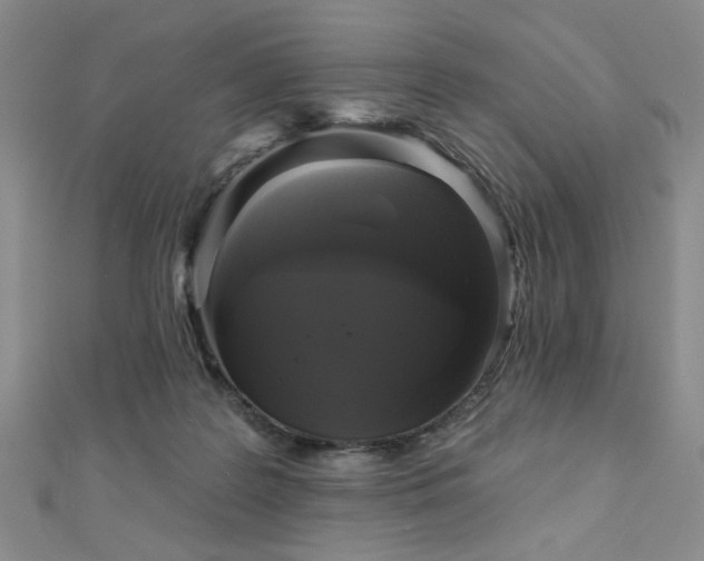 X0000111000219200906191557