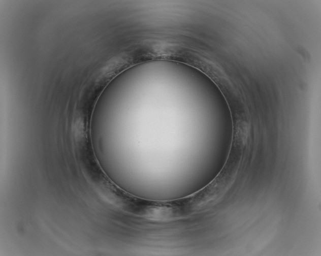 X0000111000220200906191557