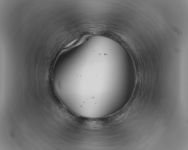 X0000111000221200906191557