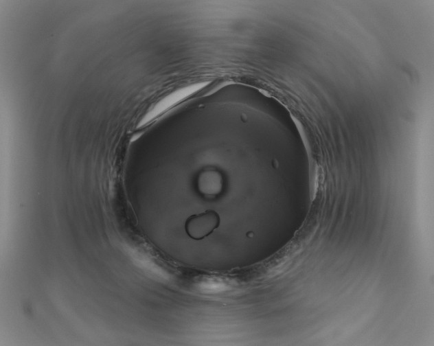 X0000111000223200906191557