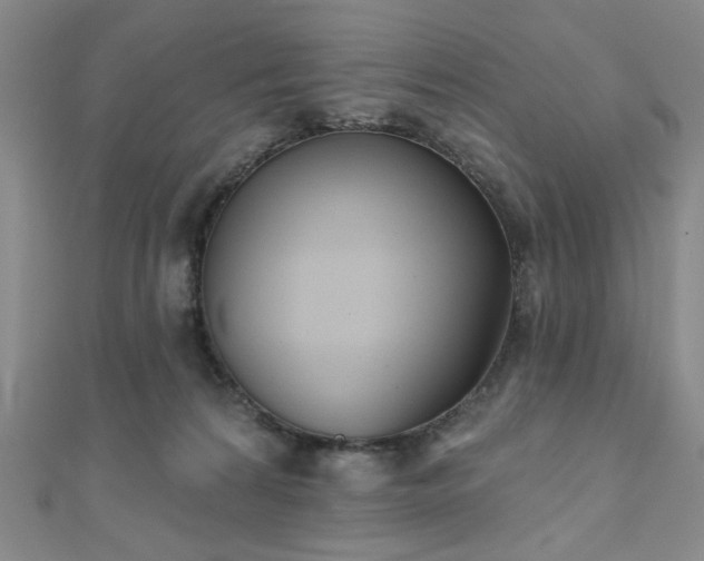 X0000111000224200906191557