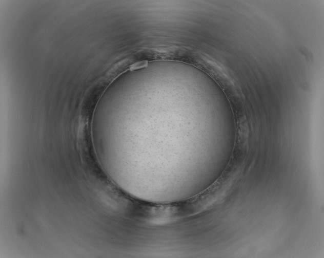 X0000111000225200906191557