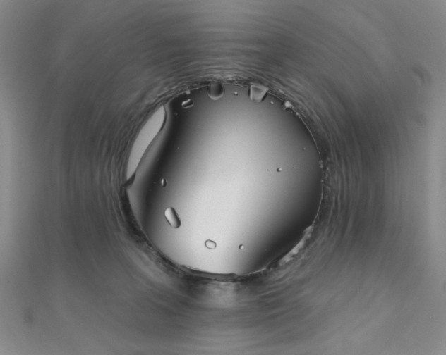 X0000111000227200906191557