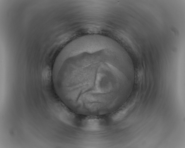 X0000111000228200906191557