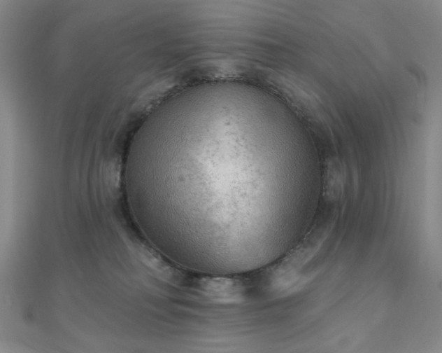 X0000111000230200906191557