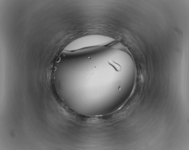 X0000111000231200906191557