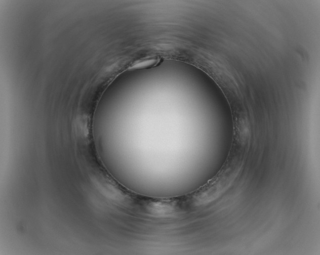 X0000111000232200906191557