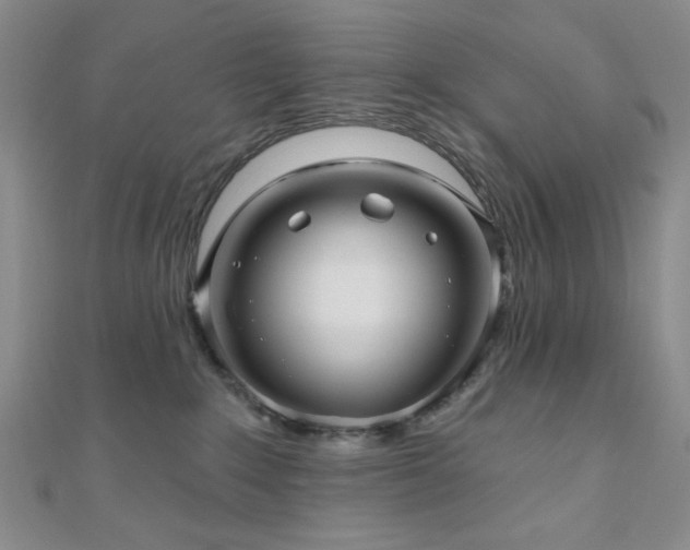 X0000111000235200906191557