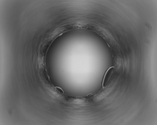 X0000111000236200906191557