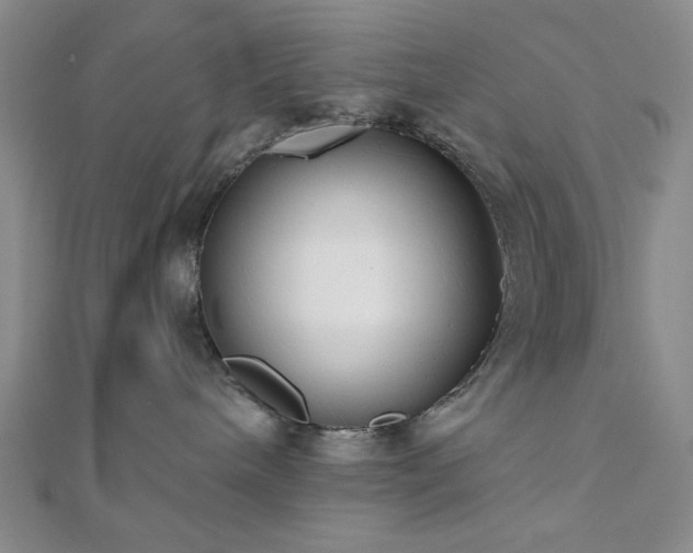 X0000111000240200906191557