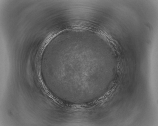 X0000111000241200906191556