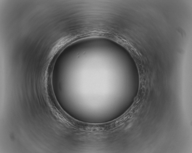 X0000111000242200906191556