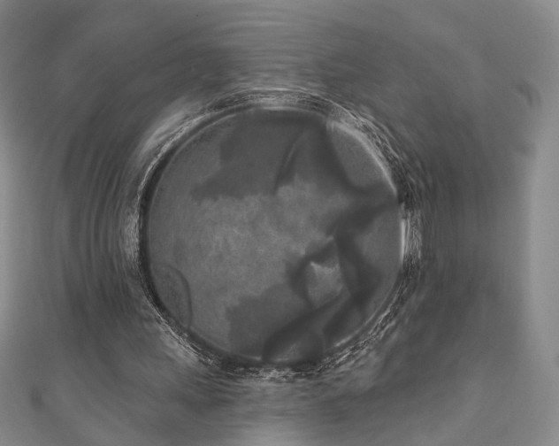 X0000111000243200906191556