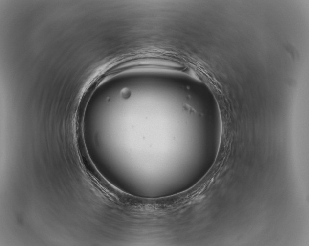 X0000111000244200906191556