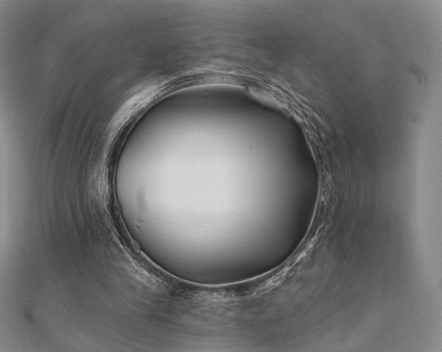 X0000111000245200906191556