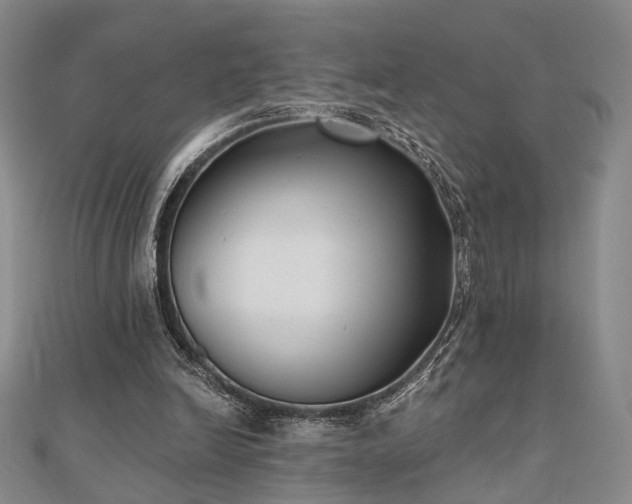 X0000111000246200906191556